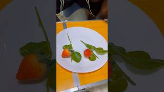 Pov Strawberry Tree Diy