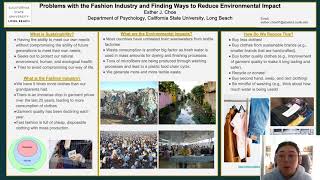 Problems with the Fashion Industry and Finding Ways to Reduce Environmental Impact