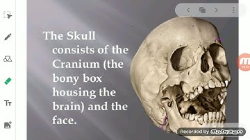 ClassVI Science 12 05 2020 by Ms Mridulata Upadhyay