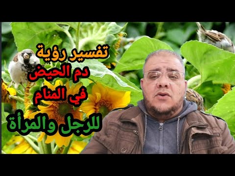 رؤية دم الحيض في المنام للرجل والمرأة  761
