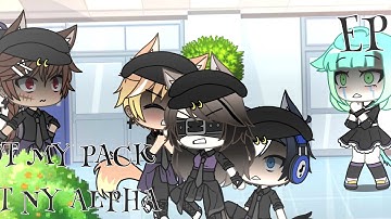 Not my pack,Not my Alpha!/EP.1/