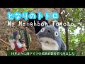 となりのトトロ 【歌詞付き】My Neighbor Totoro (Ghibli)ソプラノ瑞樹比美香 - Dirndl