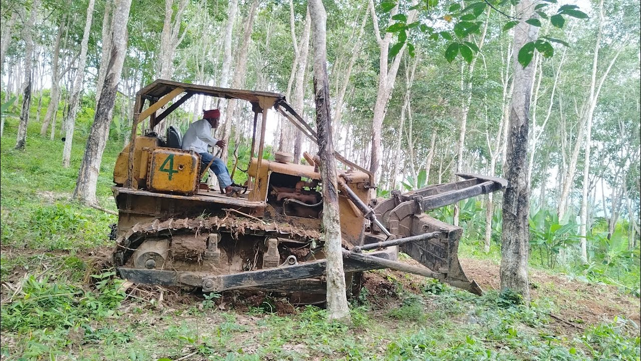 อาจารย์หมี เปิดแปลงใหม่ 5 ไร่ เจอไม้แคงควนเอียง ไม้ใหญ่ล้มลำบากมาก!!