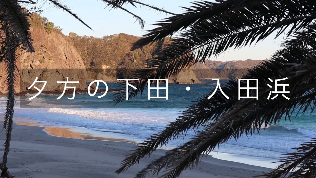 下田 入田浜 海 砂浜 サンセット ヤシの木 癒し Youtube