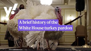 A brief history of the White House turkey pardon