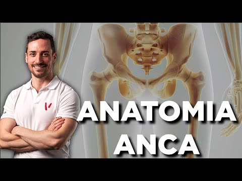 Video: Esercizi Di Abduzione Dell'anca: Anatomia, Benefici, Efficacia