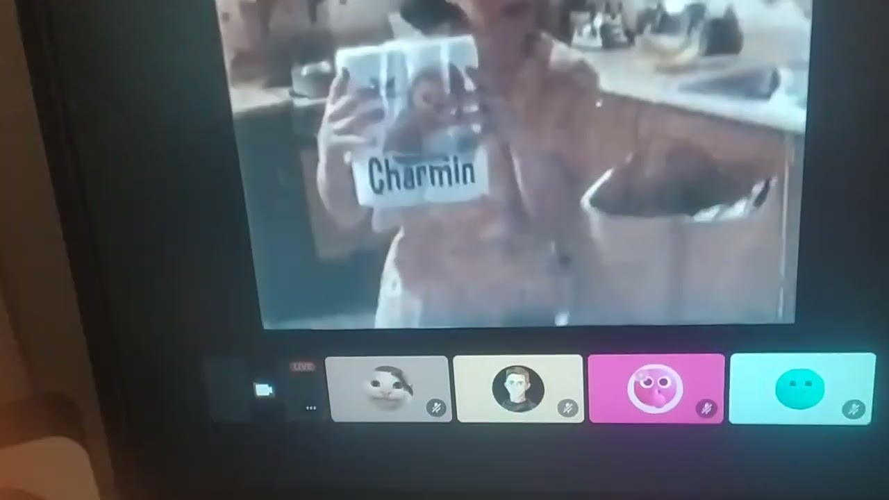 Charmin Toilet Tissue Commercial (1998) YouTube