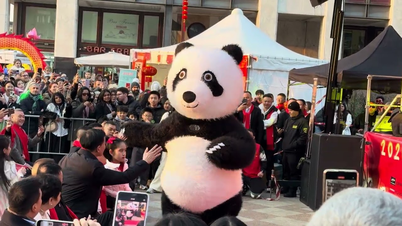 Danza del Panda su una mano a Napoli per il Capodanno Cinese | IPHONE 15 PRO | 4K 60P