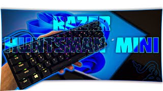🔥Razer Huntsman mini в 2023 году топ? Лучшая клавиатура от Рейзер! Обзор Razer Huntsman mini