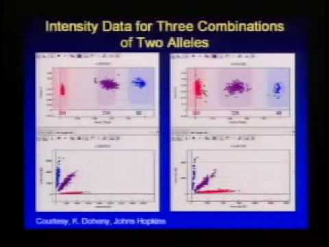 Genome-Wide Association Studies