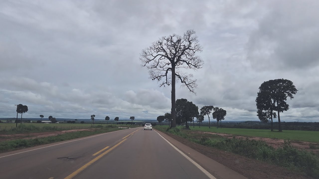 Pequeno trecho da br163 entre Sinop e Itaúba!!