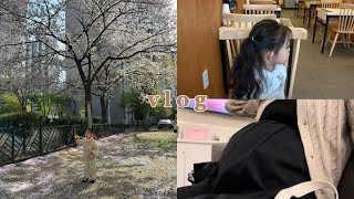 Vlog | 34주 임산부 브이로그, 36개월 아기와의 일상, 벚꽃 산책, 키즈카페