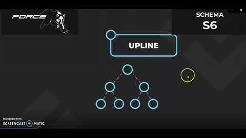 Meta Whale (Holiverse) S6 & S3 Explained: How It Works