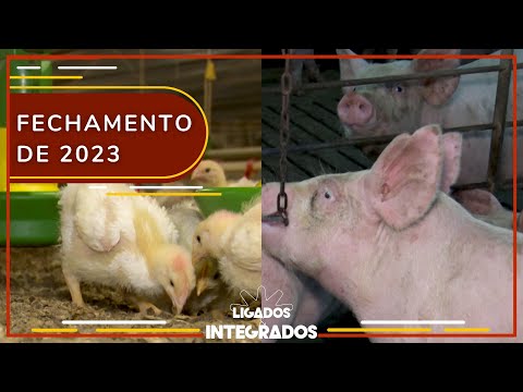 2023 vai fechar com alta das exportações de carne de frango e suína | Ligados&Integrados - 21/12/23