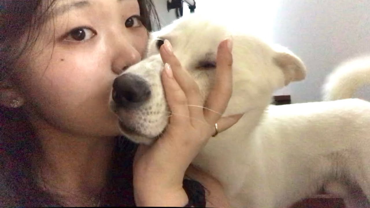 대학생(1) 방학 브이로그 ••• | 대학생 브이로그 | 학생 브이로그