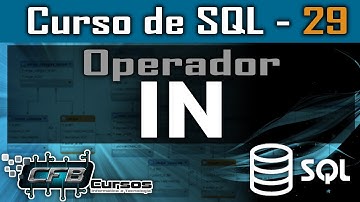 IN Operator - SQL Course - Lesson 29