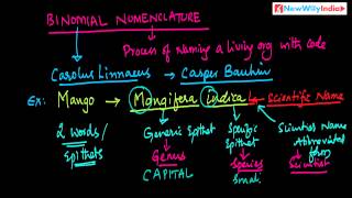 CBSE Class 11 - Biology Lessons - 004 - Binomial Nomenclature And Rules for Nomenclature