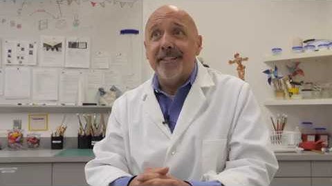 The Preservation Lab