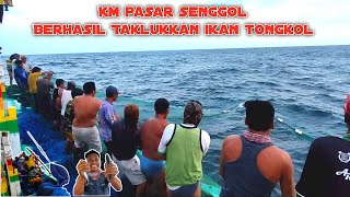 KM PASAR SENGGOL ll BERHASIL TAKLUKKAN IKAN TONGKOL ll Nelayan puger jember