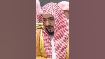 سورة فصلت | الشيخ #الوليد_الشمسان