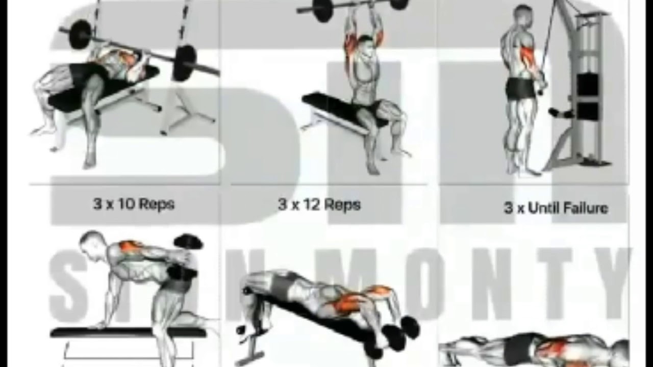 Top 3 Amazing free workout apps for beginners tricep Top 3 Amazing free workout apps for beginners tricep