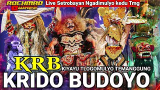 KRB KRIDO BUDOYO KIYAYU LIVE SETROBAYAN NGADIMULYO KEDU TEMANGGUNG TERBARU🔥