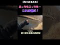 【釣りあるある】・・・これめっちゃ痛いんだよね♯釣りあるある♯痛い♯ #釣り