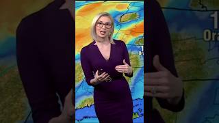 Kelly Costa 👀🔥Librarian !!🔥Dec. 22, 2026 #weather #gorgeous #beautiful #shorts #omg #glasses #blonde Net Worth