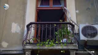 Ciciş In Belalısı Cemal Le Kapıştı Arka Sokaklar 538.Bölüm