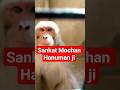 mere tan mein bhi ram | hanuman ji bhakti #Shorts #Hanuman