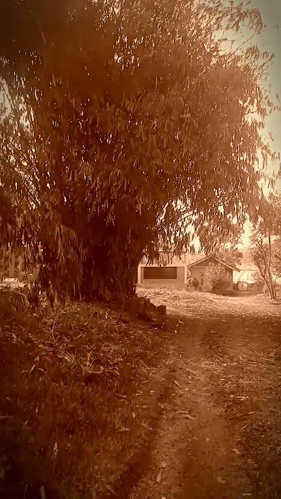 SUASANA DIKAMPUNG MENJELANG MAGRIB #suasanapedesaan #kampungsunda #kampunghalaman #shortvideo