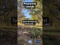 Zmiana zaczyna się od wewnątrz. Przyciągaj to, czym jesteś. #mentalność #światło #shorts #ytshort