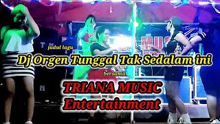 Dj Orgen Tunggal TAK SEDALAM INI TRIANA MUSIC Entertainment