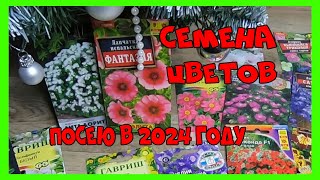 картинка: Семена цветов на 2024 год Обзор