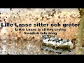 Lille Lasse Mp3 Song