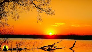 🔴 Music for Sleep 24/7, Deep Sleep Music, Relaxing Music, Insomnia, Calm Music, Study, Spa, Sleep