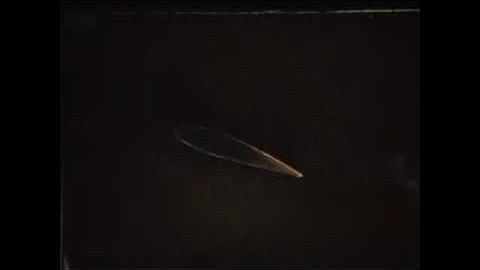 Airflow across a wing