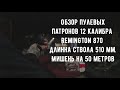 Пули 12-го калибра (ДИАБОЛО-ЭКО, ГРИЗЛИ, ГУАЛАНДИ, ПОЛЕВА) Remington 870 на 50 метров