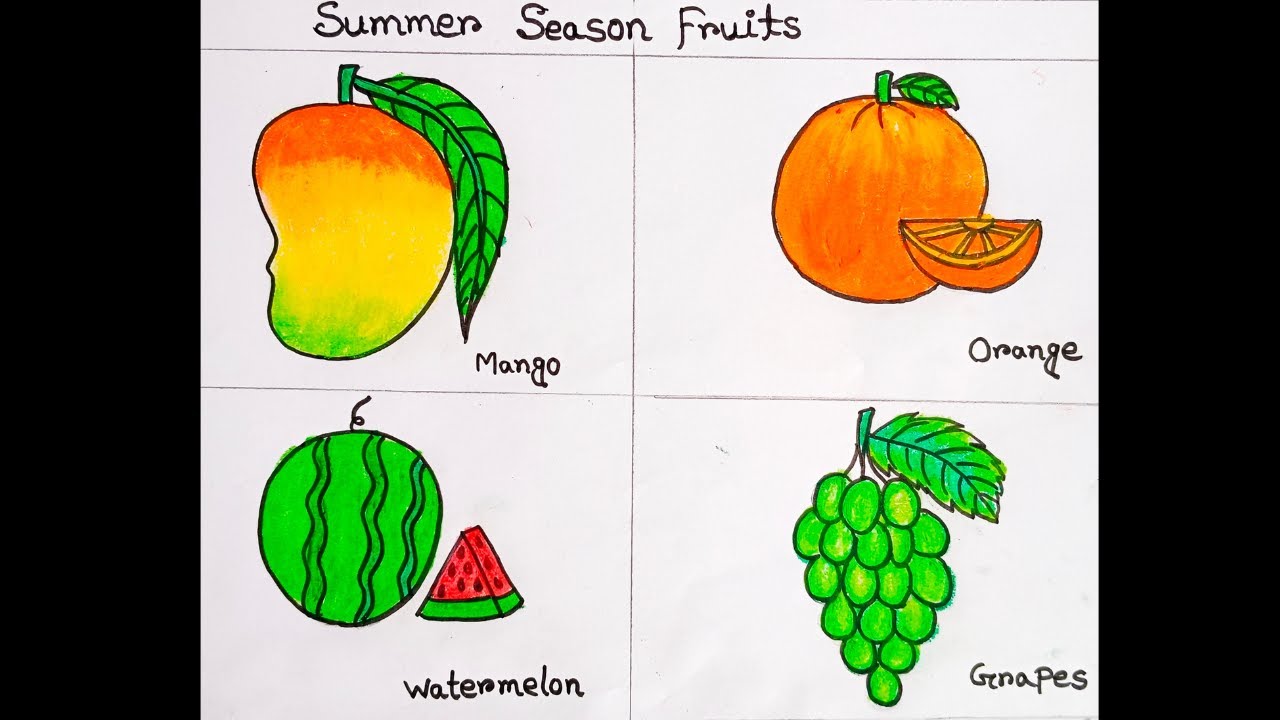 Premium Vector | Hand drawn fruits drawing