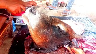 Most Incredible Cow Head Cutting Skills// Cow Head Cleaning & Processing By Young Skillful Butcher.