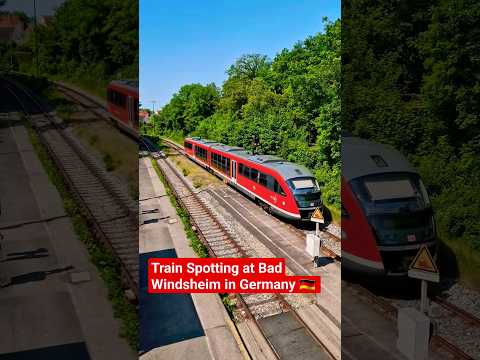 Train Spotting at Bad Windsheim in Germany 🇩🇪  #shorts