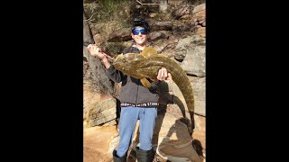 MEGA Georges River Flathead | Georges River Fishing