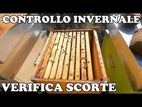 Controllo invernale: verifica