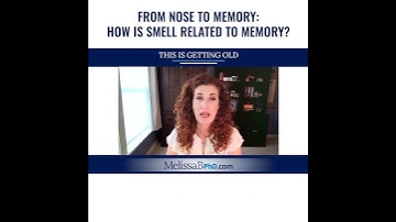 From Nose to Memory: How Is Smell Related To Memory? 👃🧠
