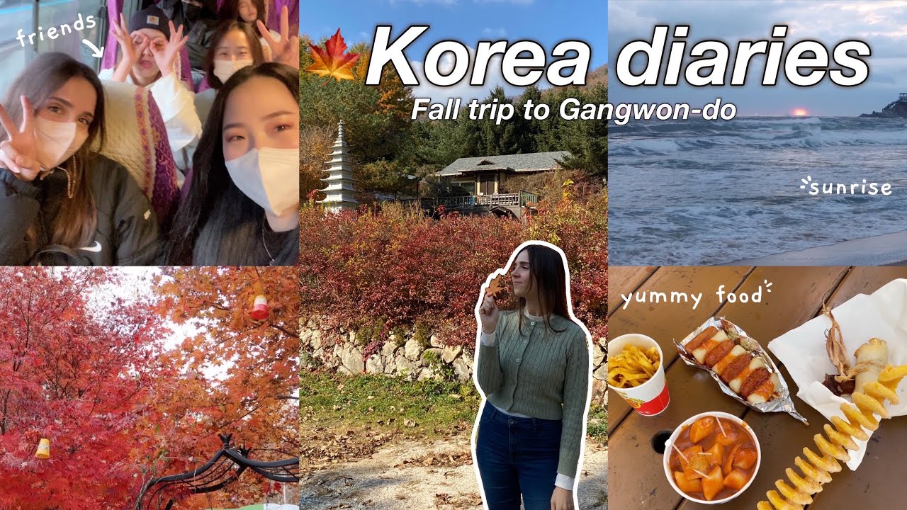 KOREA VLOG 🍁 Fall trip to Gangwondo with friends autumn foliage