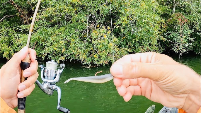 Gulp Alive 3 Black Shad + Jawbone Minnow Jig = Fishing Fun!  #eyelovefishing #gulp #jawbone 