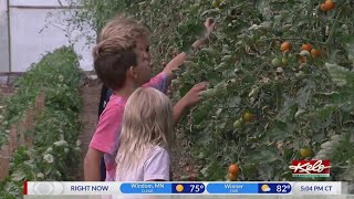 People looking to shop local and buy fresh produce