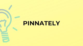 What is the meaning of the word PINNATELY