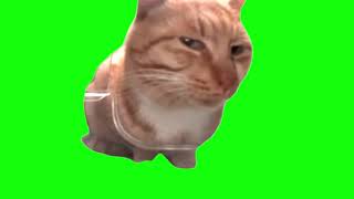 Green Screen Mr. Fresh Cat Meme