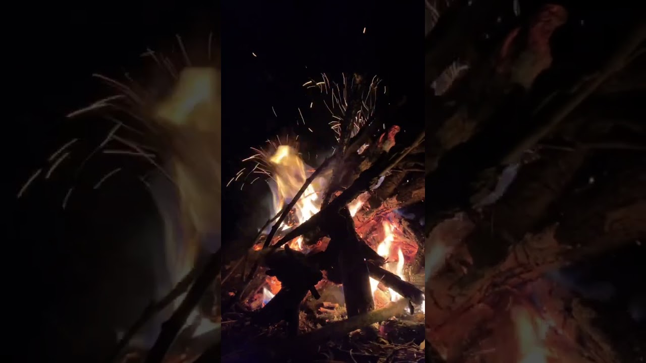 Forest path and fire 